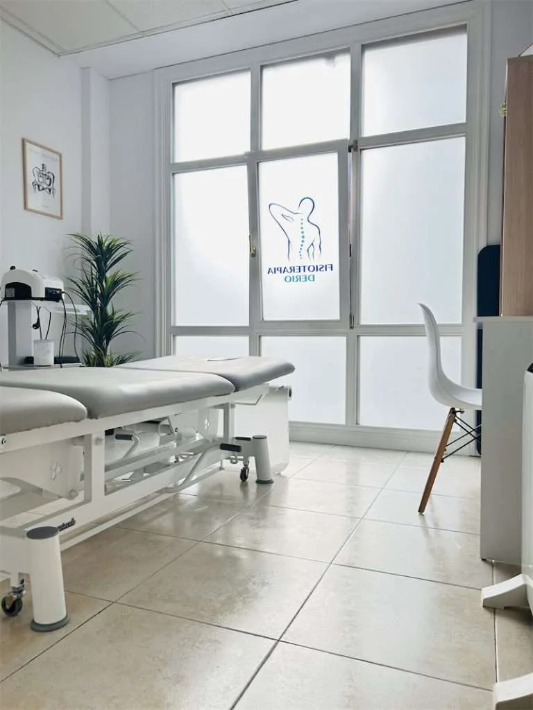 sala principal de fisioterapia en derio bizkaia